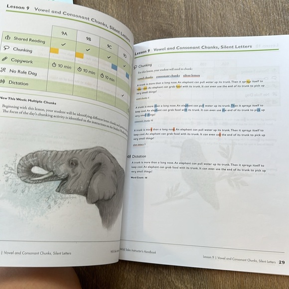 Spelling u see level c - Picture 2 of 4